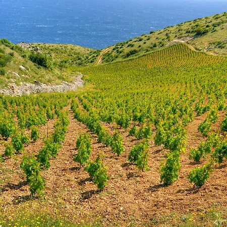 Апартаменты In With Sea View, Balcony, Air Conditioning, Wi-fi Хвар