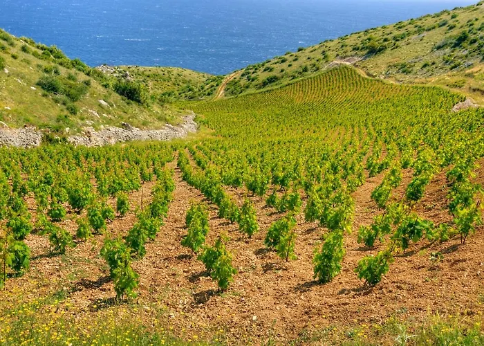 公寓 In With Sea View, Balcony, Air Conditioning, Wi-fi 赫瓦尔