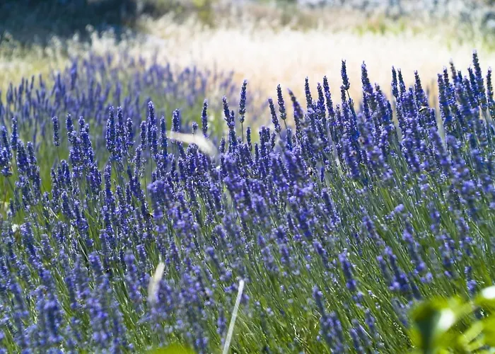 In With Sea View, Balcony, Air Conditioning, Wi-fi 赫瓦尔